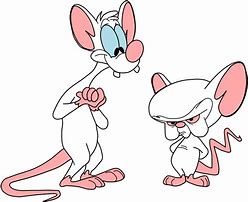 Image result for Pinky and the Brain Transparent PNG