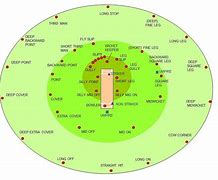 Image result for Cricket Play Field Diagram