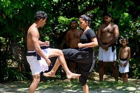 Image result for Martial Arts Colombo