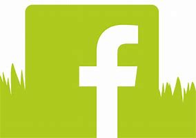 Image result for fb stock