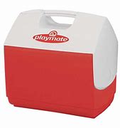 Image result for Igloo Mini Cooler