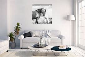Image result for Black and White Horse Prints