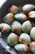 Image result for Cockles