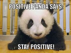 Image result for Positive Memes Funny Idea