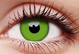 Image result for Monovision Contact Lenses