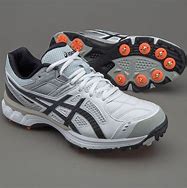 Image result for Cricket Shoes with Spikes