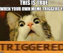 Image result for Triggered Rage Meme