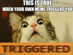 Image result for Trigger Meme