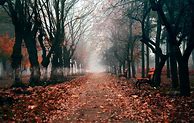 Image result for iPhone Wallpaper Fall Dark