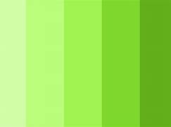 Image result for Light Green 6