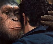 Image result for Planet of Apes Template Meme