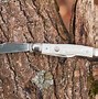 Image result for Photo of a Pocket Knife Stock