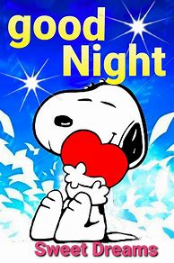 Image result for Snoopy Snow Good Night Memes