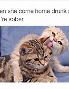 Image result for Relationship Cat Memes