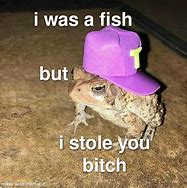 Image result for Frog Cult