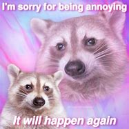 Image result for Sad Raccoon Meme