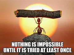 Image result for Nothing Is Impossible Meme