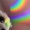 Image result for Rainbow Dog Art