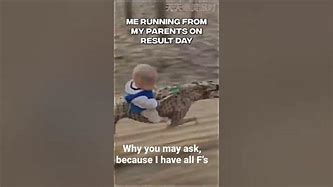Image result for Baby Riding Cheetah Meme