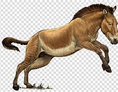 Image result for Sloth Horse