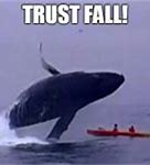 Image result for Ascended Whale Meme