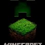 Image result for Minecraft Film