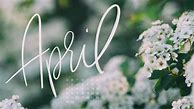 Image result for Spring April iPhone Wallpapers