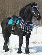 Image result for Blue Horse Bridle