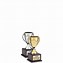 Image result for Crown Awards Trophies