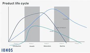Image result for Different Stages of Product Life Cycle