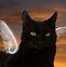 Image result for Winged Black Cat