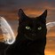 Image result for Winged Cat Art