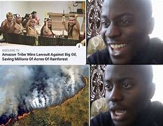 Image result for Amazon Rainforest Burning Memes