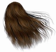 Image result for Real Hair Blowing Back PNG