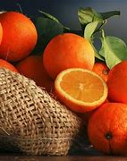 Image result for Orange Photo for Photography