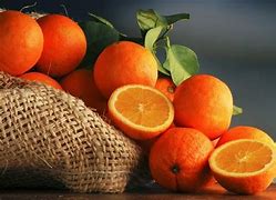 Image result for Orange Color Photography