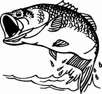 Image result for Bass Fishing Coloring Pages