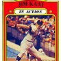 Image result for Jim Kaat NY Yankees