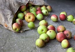 Image result for Apple Mix