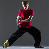 Image result for Kung Fu Footsteps Style