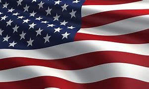 Image result for Favicon for United States Flag