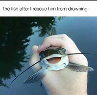 Image result for Catfishing Meme
