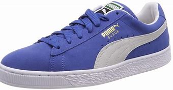 Image result for Men's Blue Puma Sneakers
