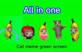 Image result for Waaaaa Cat Memem