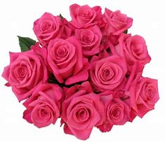 Image result for 4 Dozen Hot Pink Roses