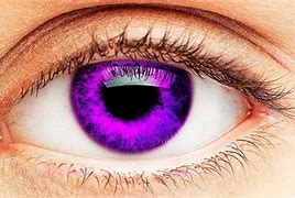 Image result for Rare Eye Colors in Humans
