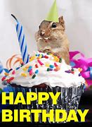 Image result for Happy Birthday Squirrel Meme