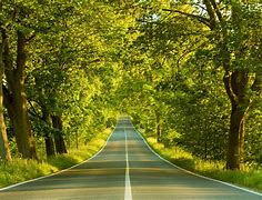 Image result for Nature Wallpaper HD