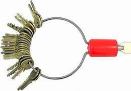 Image result for Locking Key Rings