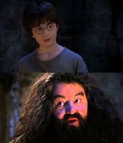 Image result for Harry Potter Wizard Meme